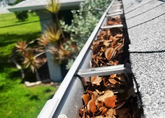 Reisterstown gutter cleaning home page